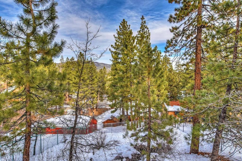 031 - Paradise Pines Big Bear Lake Ngoại thất bức ảnh
